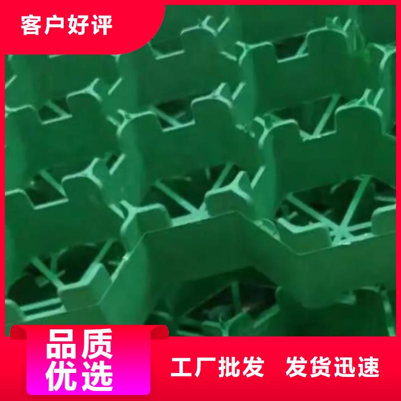 植草格厂家-本地工厂