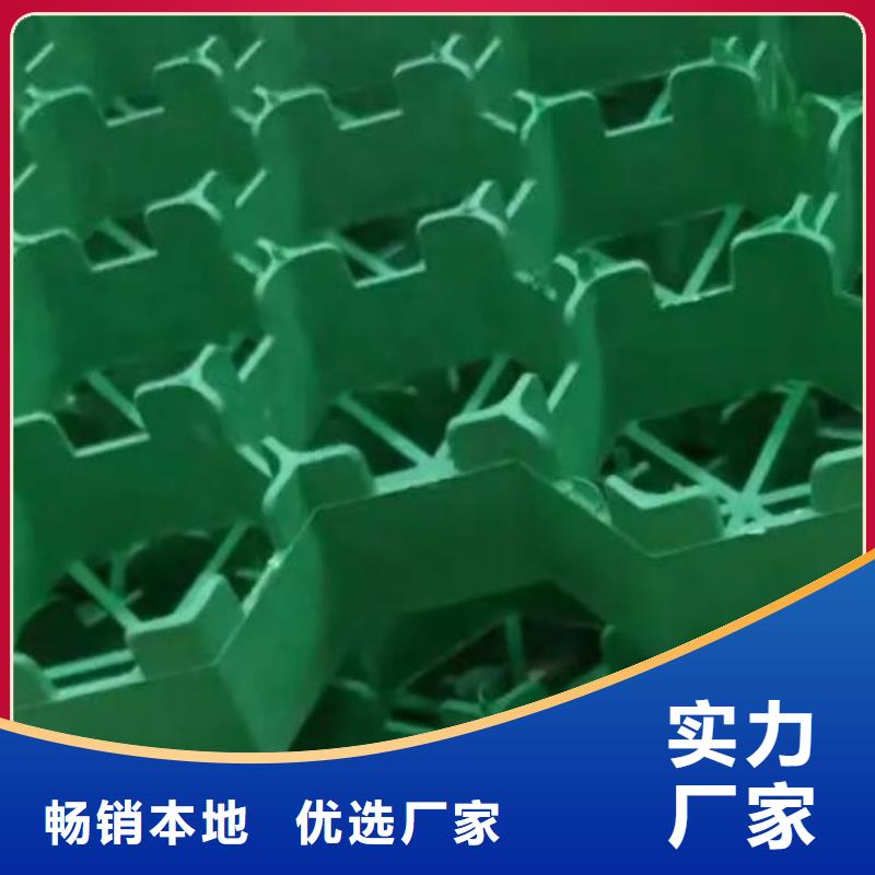 植草格化粪池水泥服务始终如一