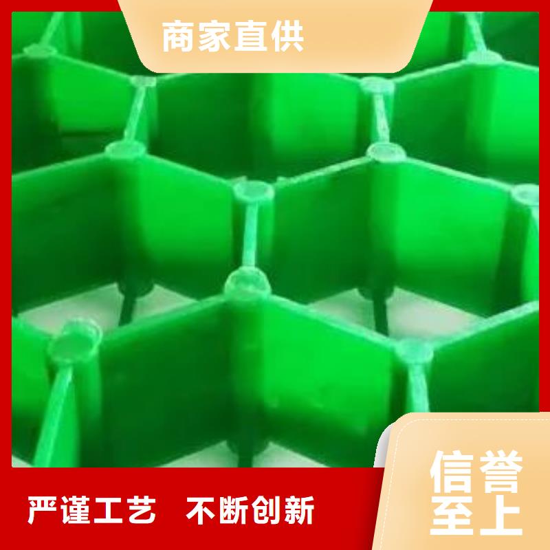 塑料植草格生产厂家
