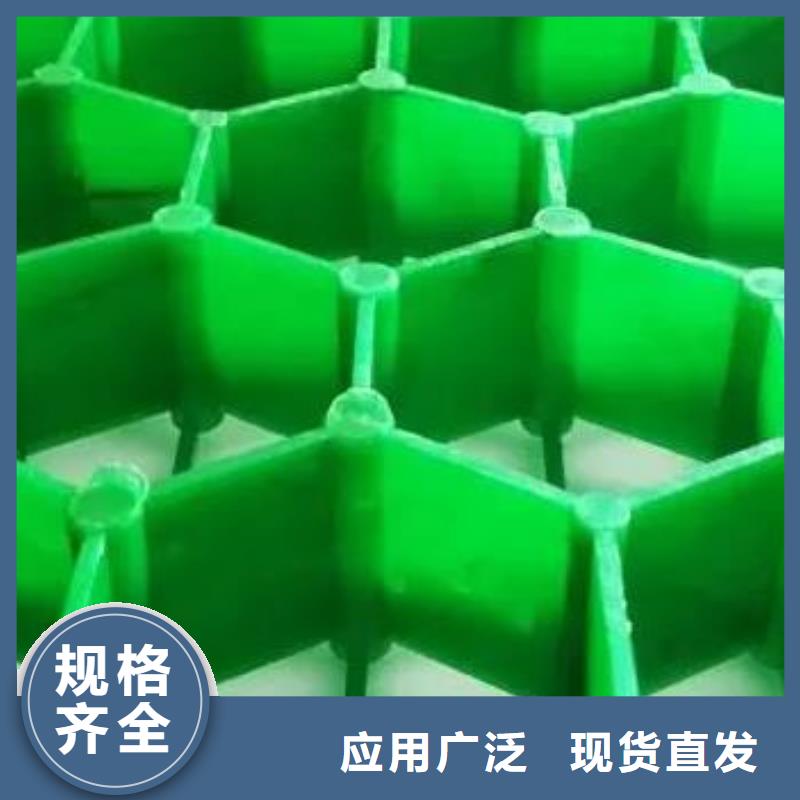 植草格本地货源