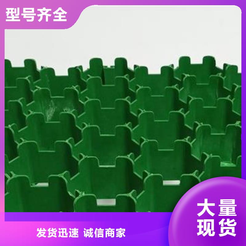 塑料植草格多钱
