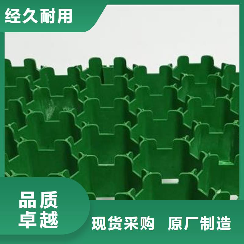 塑料植草格-消防通道植草格厂家