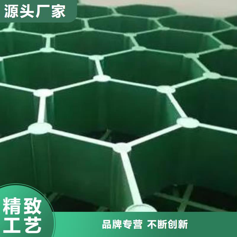 植草格厂家-本地工厂
