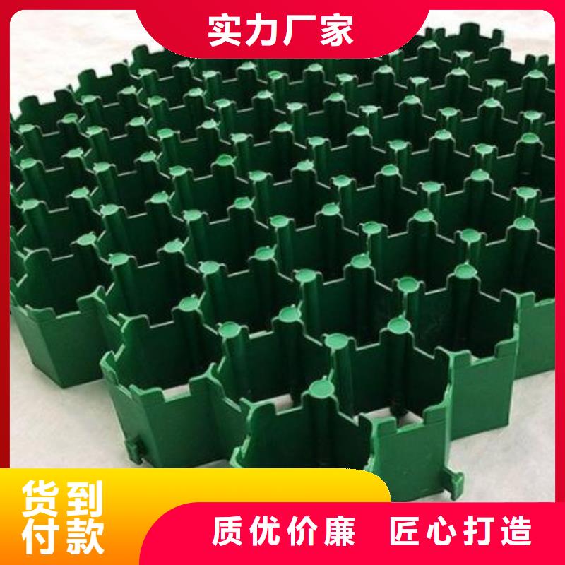 植草格型号全-工厂店