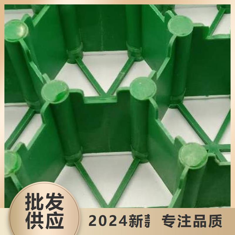 植草格厂家-消防通道植草格厂家