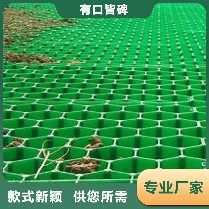 停车场植草格-停车场植草格厂家店