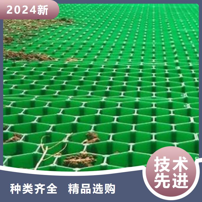 【植草格】_防护虹吸排水收集系统超产品在细节