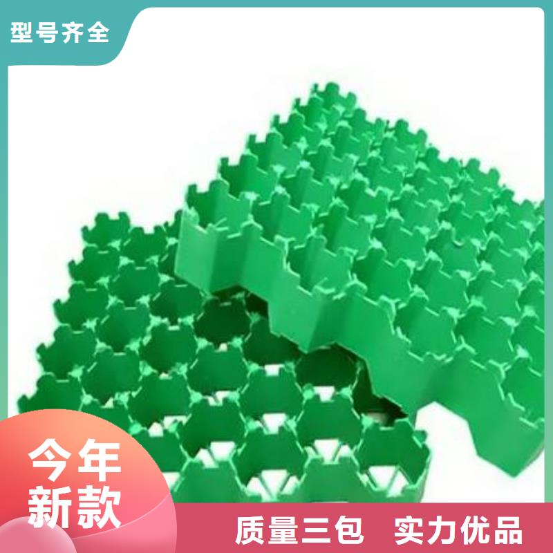 植草格-联系方式
