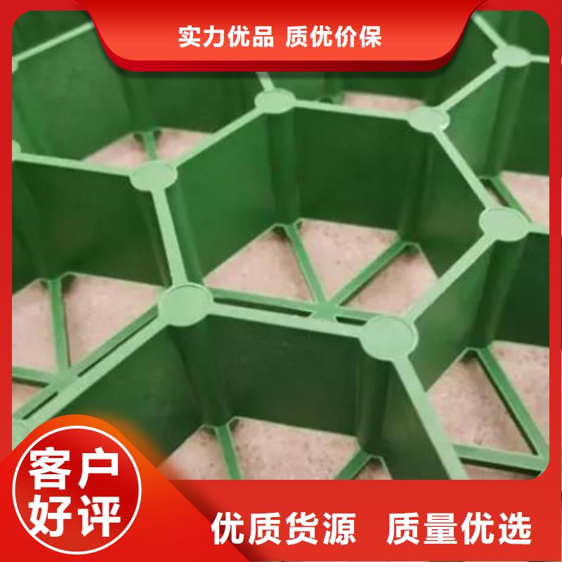 植草格厂家代理商