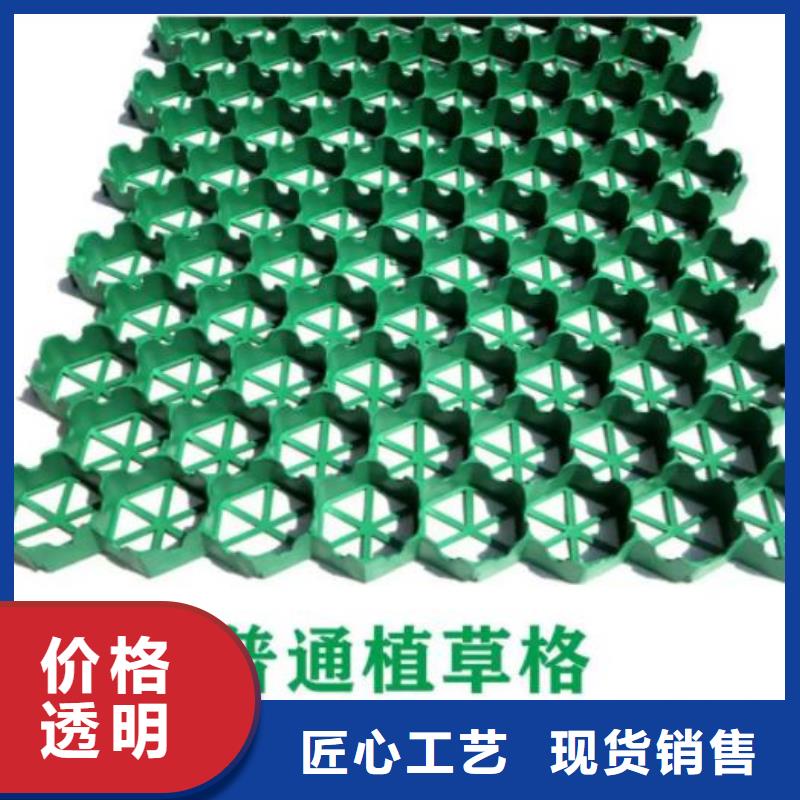 塑料植草格-行情价