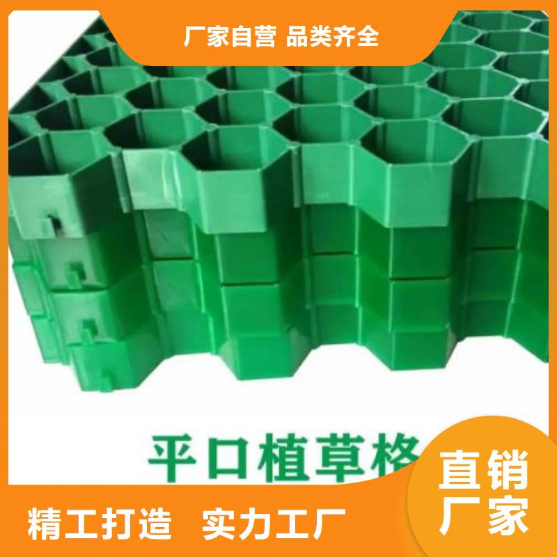 植草格集团2025已更新