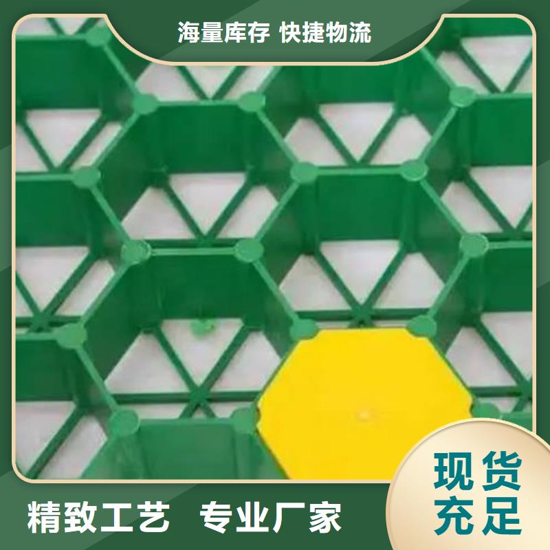 植草格正规厂家