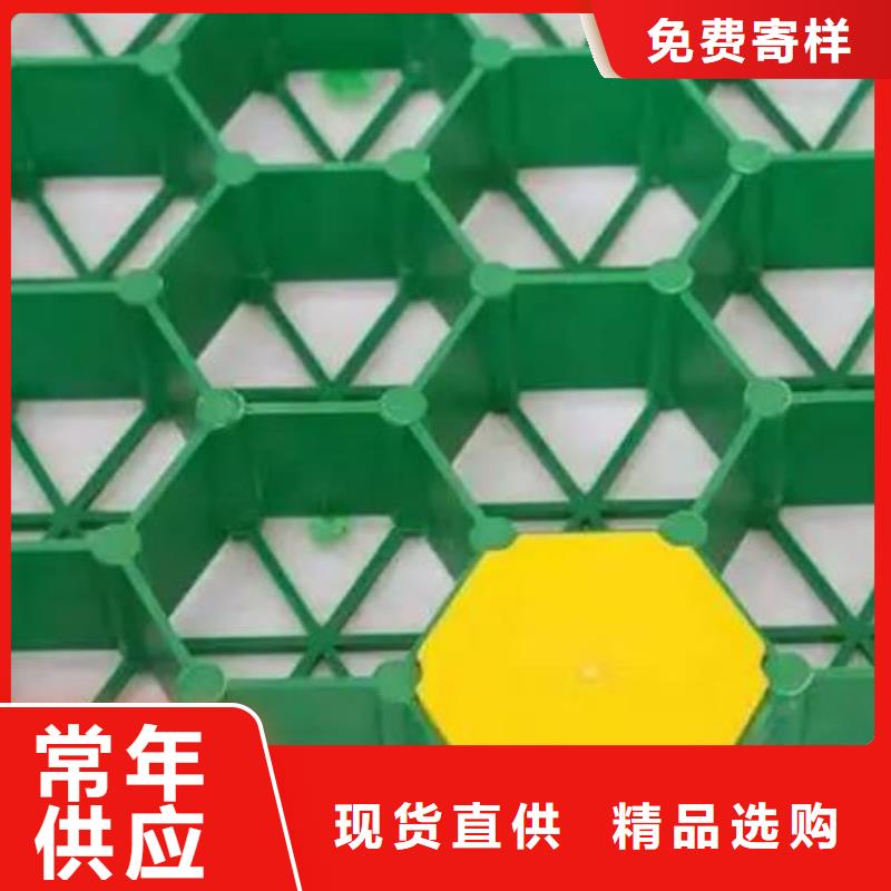 塑料植草格本地货源