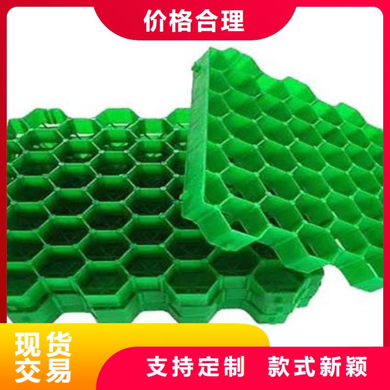 塑料植草格-停车场植草格实业公司