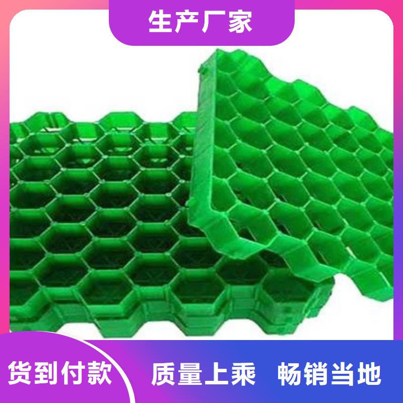 植草格排水板就近发货