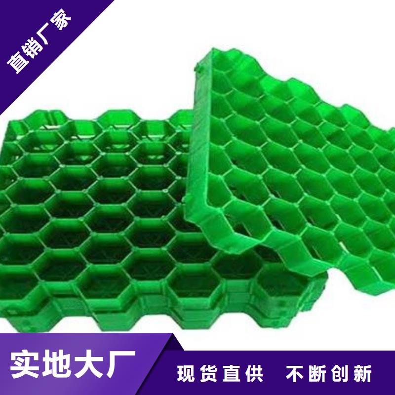 停车场植草格-植草格厂家