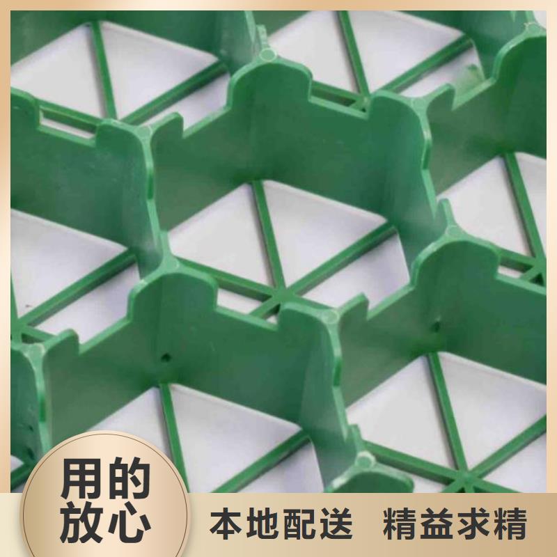 植草格/本地公司
