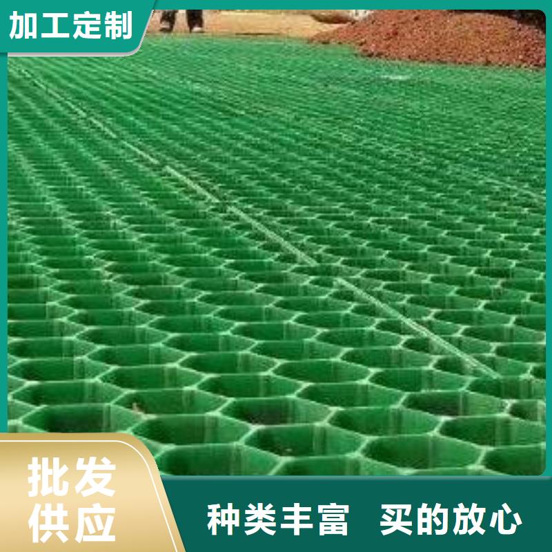 塑料植草格-本地工厂