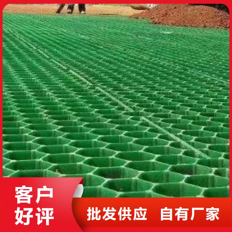 植草格防护虹吸排水收集系统一站式厂家