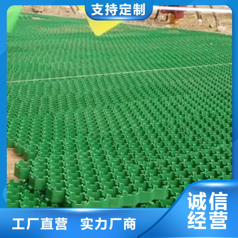 塑料植草格-停车场植草格实业公司