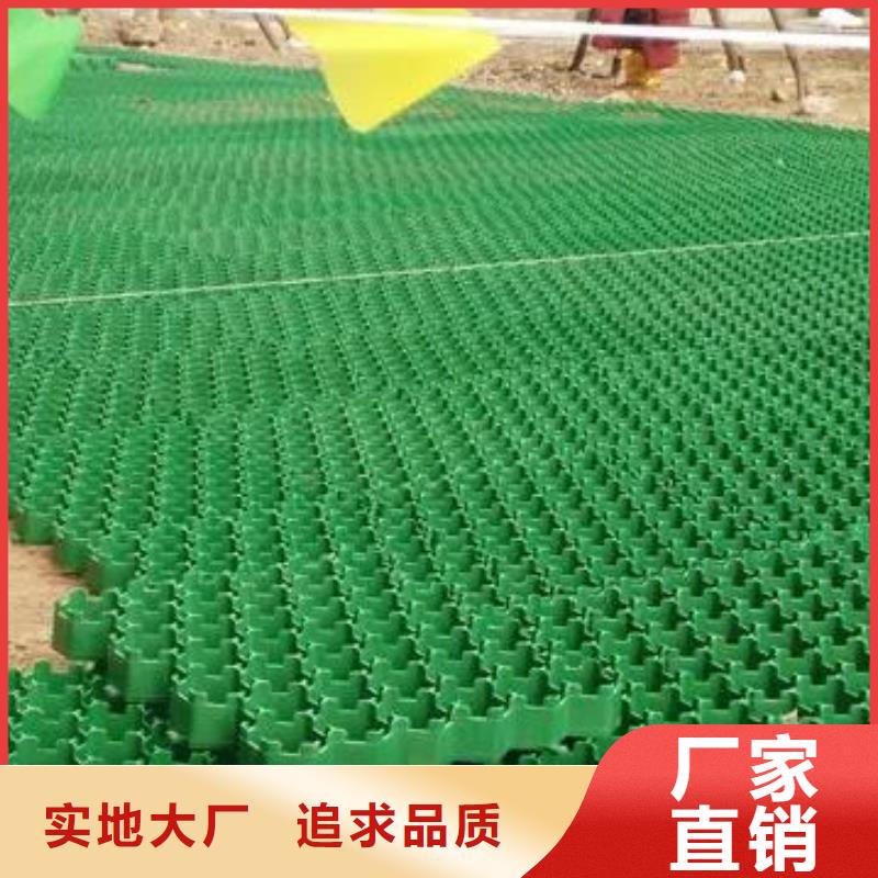 植草格批发-行情价