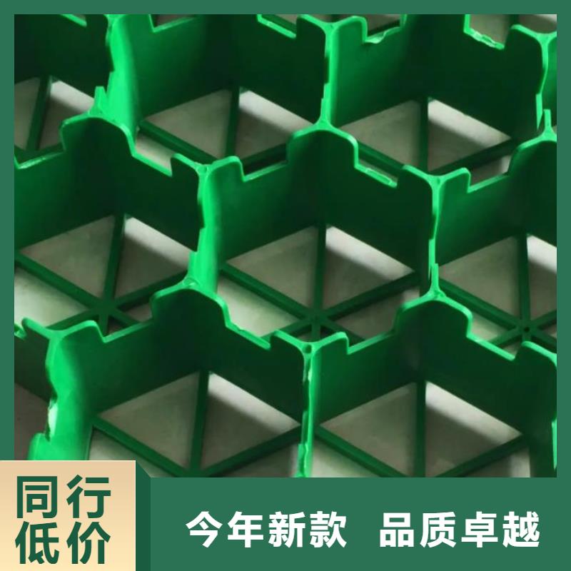 植草格生产厂家*价格