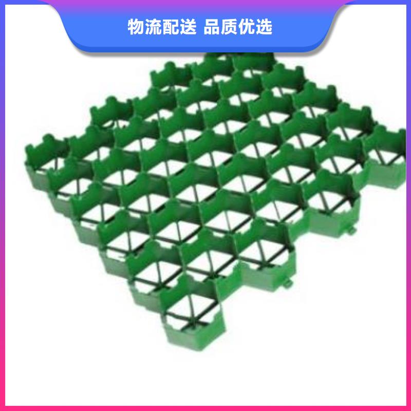 植草格正规厂家