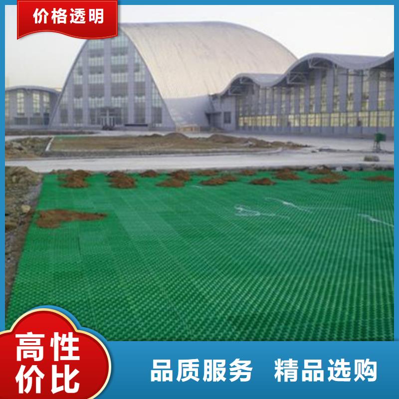 塑料植草格-停车场植草格厂家店