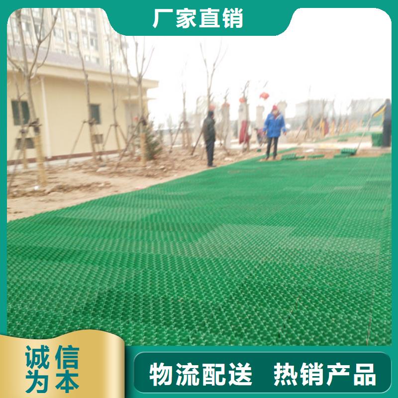 塑料植草格本地货源