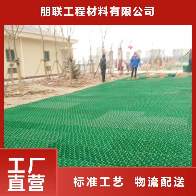 植草格_排水板厂家直销货源充足