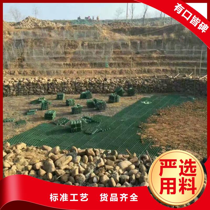 植草格价格-2025已更新
