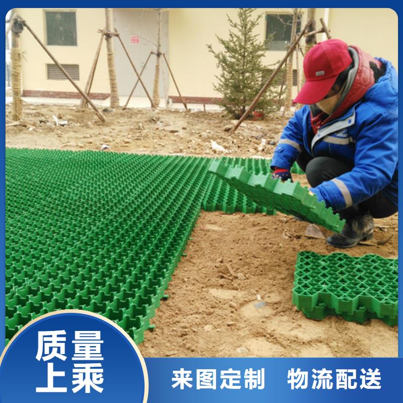 塑料植草格厂家-批发价