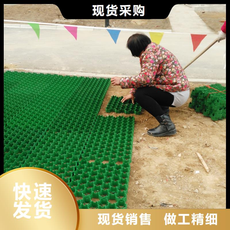 塑料植草格-停车场植草格实业公司