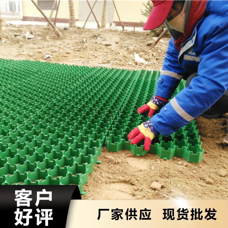植草格价格-2025已更新