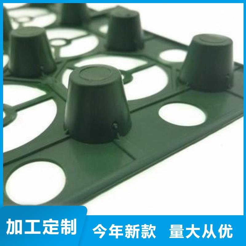 排水板施工团队