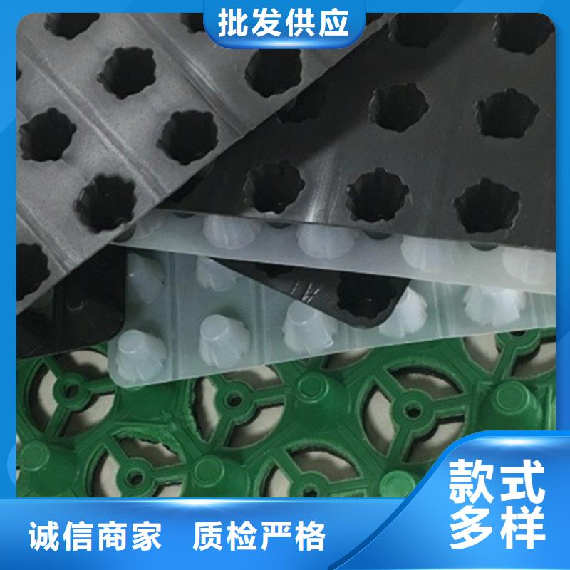 塑料排水板放心购买