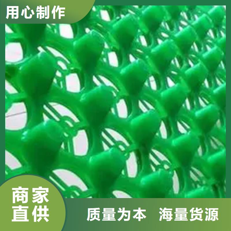 排水板施工团队