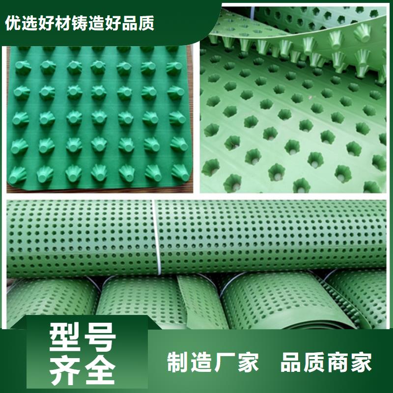 排水板施工团队