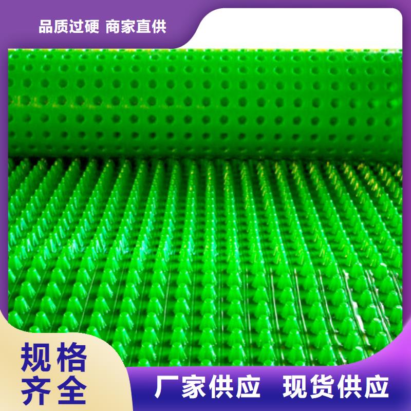 塑料排水板放心购买