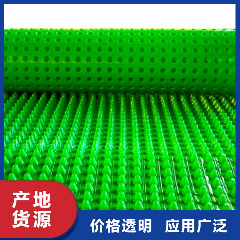 塑料排水板性价比高