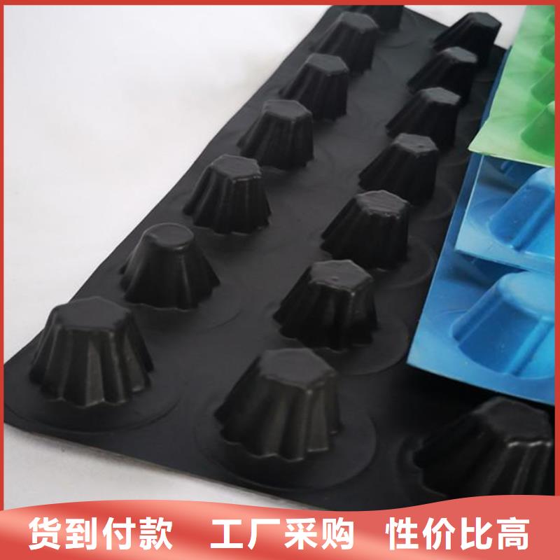 排水板性价比高