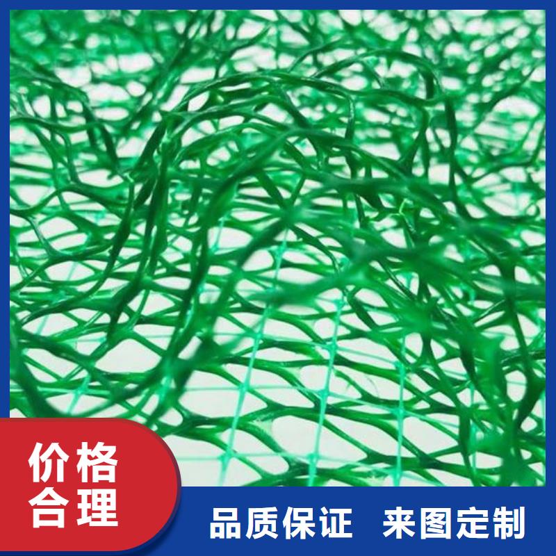 三维土工网垫工厂价