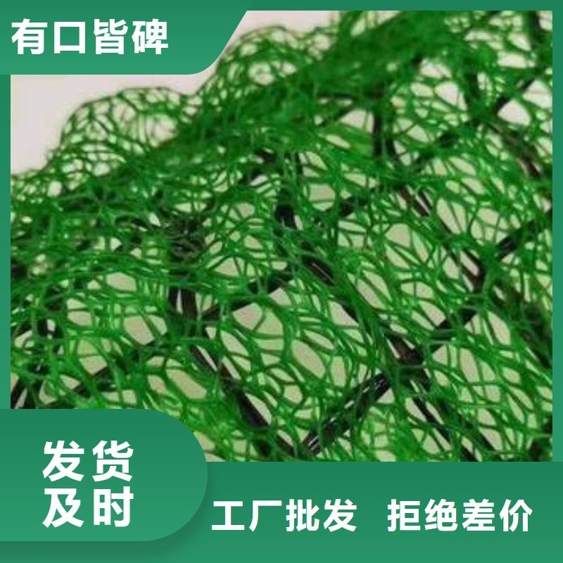 【三维植被网】排水板发货迅速