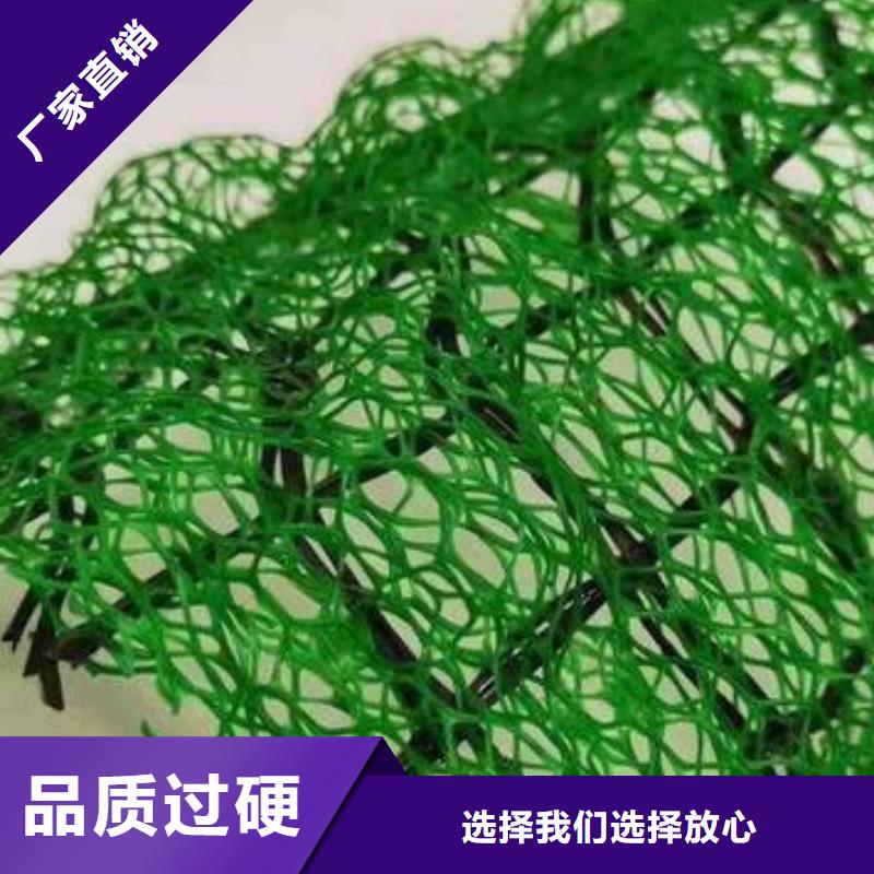 三维土工网垫厂家价格