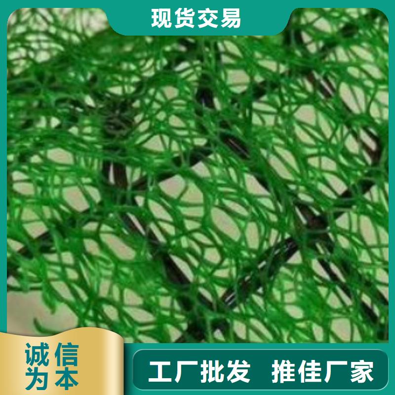 三维植被网车库虹吸排水系统专业生产N年