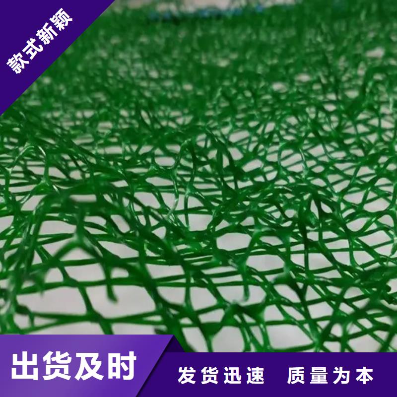 三维植被网供应商