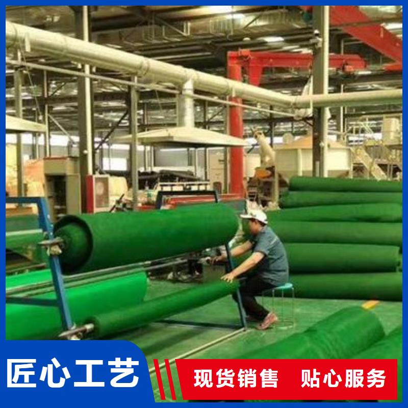 三维土工网垫防止水土流失