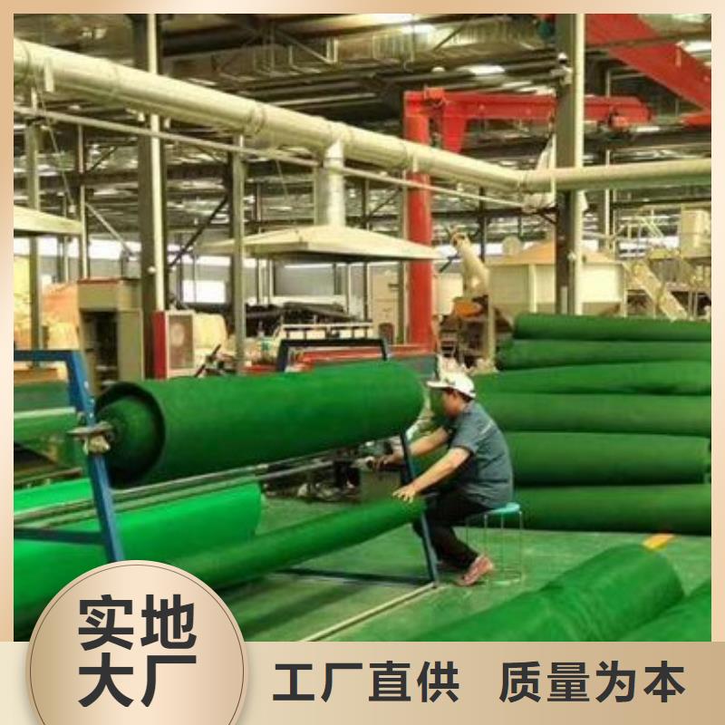 三维植被网供应商