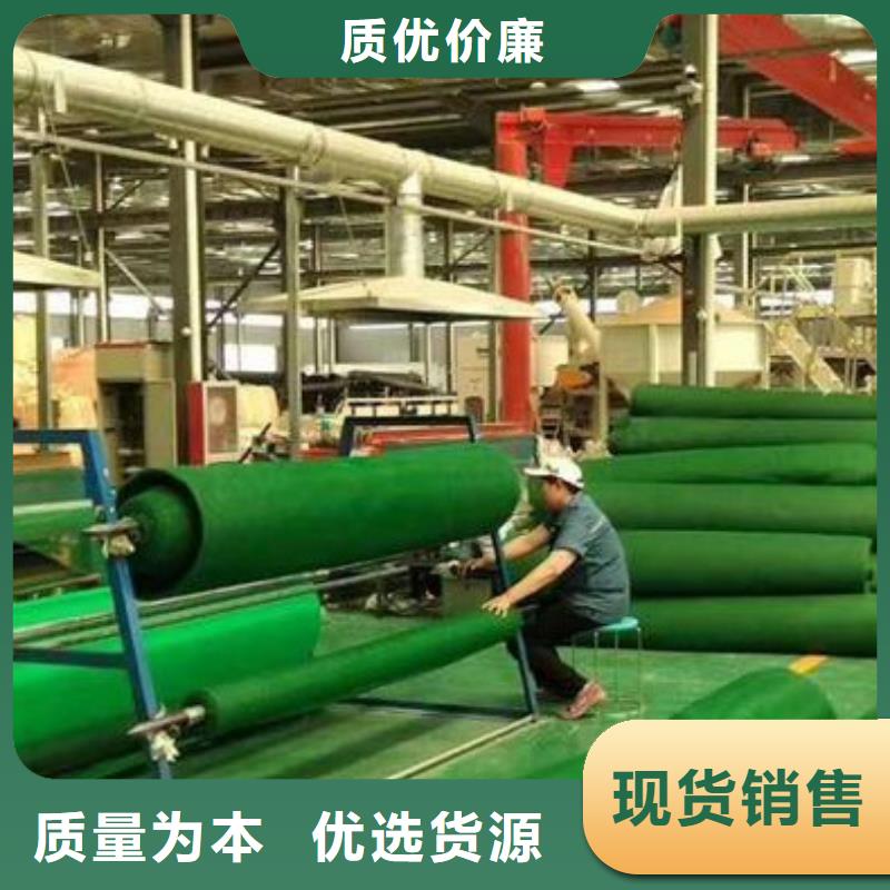 三维植被网-防护虹吸排水收集系统一站式采购商家
