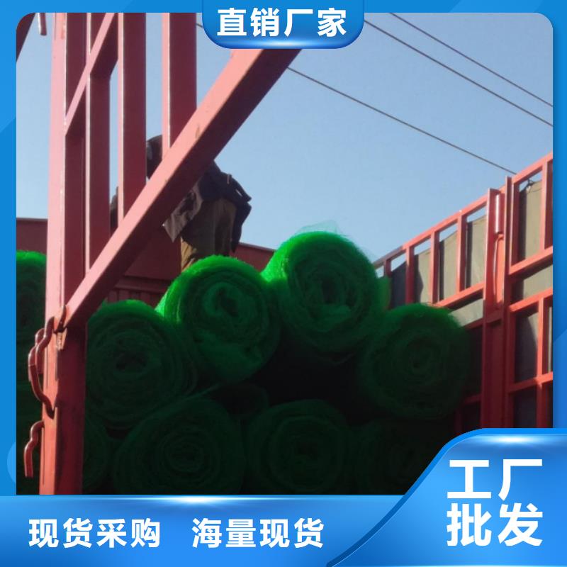 三维植被网工厂价